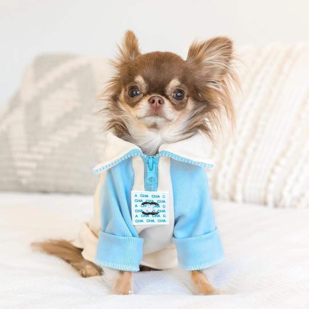 Winter Clothing For Boys - Fashion Hoodie Dog Clothes Cotton for