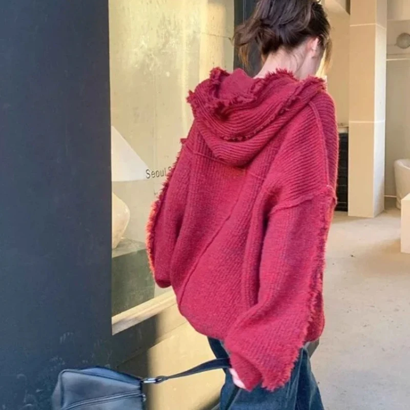 Autumn and Winter Thick Hoodie - Winter Clothing Essentials For Women 评论和价格
