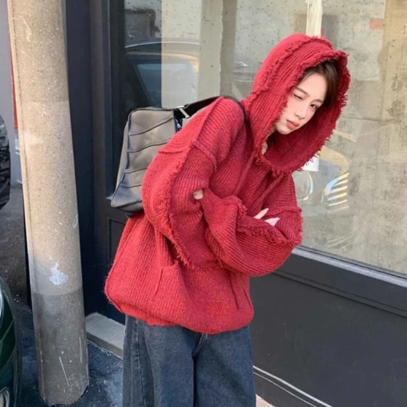 Autumn and Winter Thick Hoodie - Winter Clothing Essentials For Women 评论和价格
