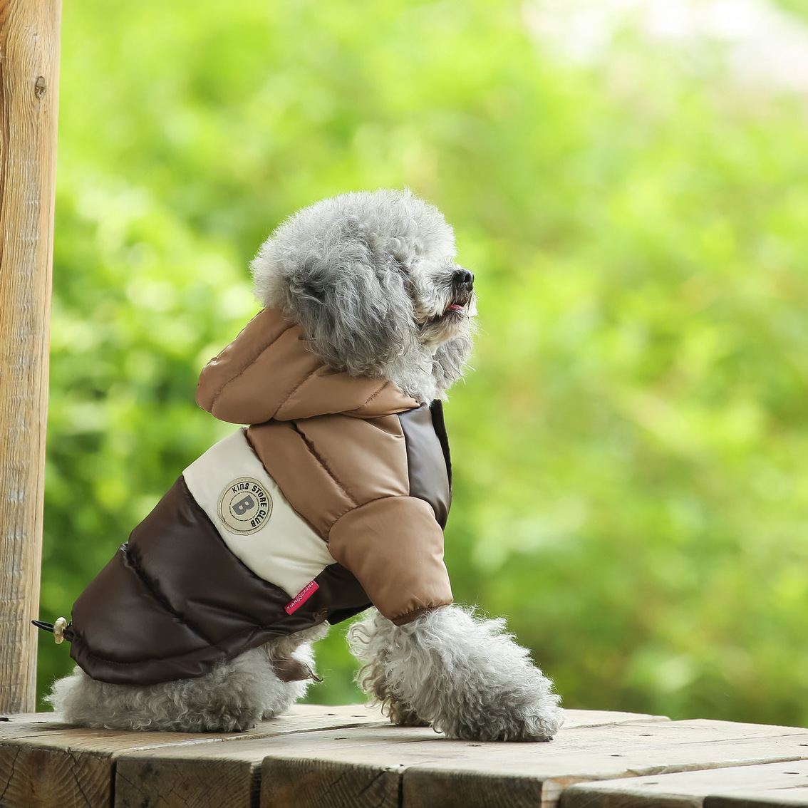 Pet Vest Pet Supplies Winter C - Winter Clothing Options 评论和价格
