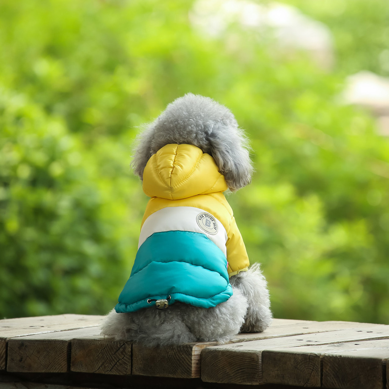 Pet Vest Pet Supplies Winter C - Winter Clothing Options 评论和价格